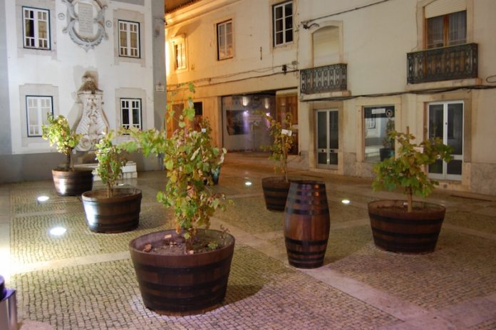 Projetos expositivos enriquecem de novo as Festas da Cidade de Torres Vedras