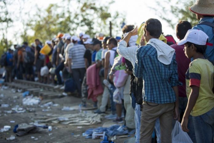 Torres Vedras recebe refugiados do primeiro grupo que chega a Portugal na quinta-feira