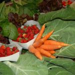 PROVE entrega cabaz de legumes e fruta à vencedora do concurso do Torres Vedras Web