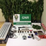 GNR faz buscas em operação contra o tráfico de droga na zona de Torres Vedras