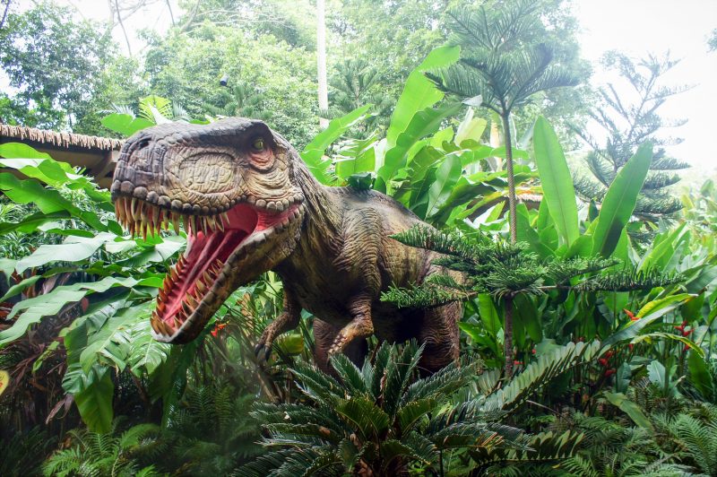Inaugura hoje "Espaço dos Dinossauros" em Santa Cruz