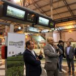 Comboio da “Cidade Europeia do Vinho 2018” ligou o Rossio a Torres Vedras