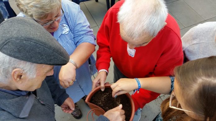 Crianças e idosos deram vida a uma horta no Centro Social Paroquial de Torres Vedras
