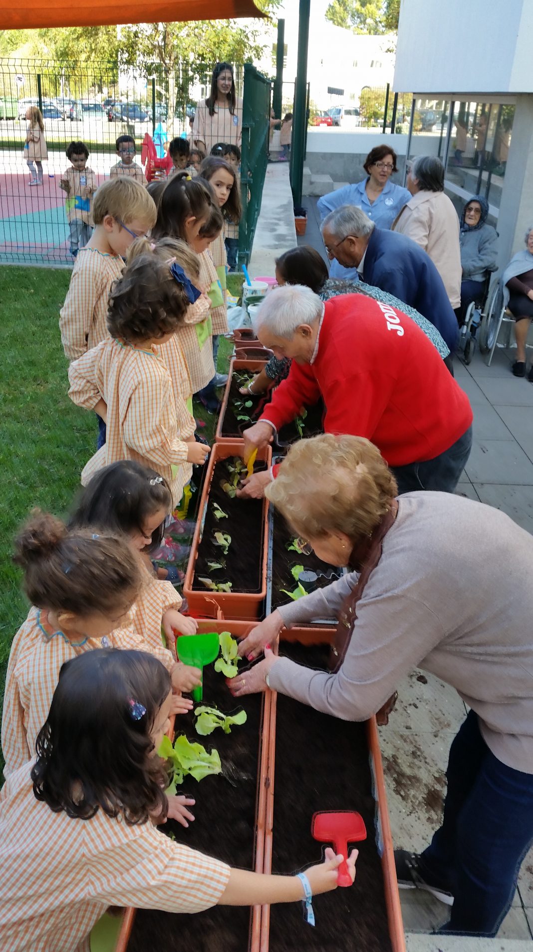 Crianças e idosos deram vida a uma horta no Centro Social Paroquial de Torres Vedras