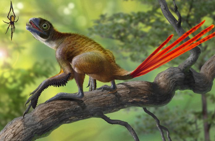 Museu da Lourinhã lança mais uma edição do Concurso Internacional de Ilustração de Dinossauros