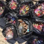 Associação Sealand recolhe lixo da Praia de Santa Cruz após passagem de ano