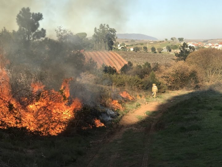 Decorreram ações de fogo controlado no concelho de Torres Vedras