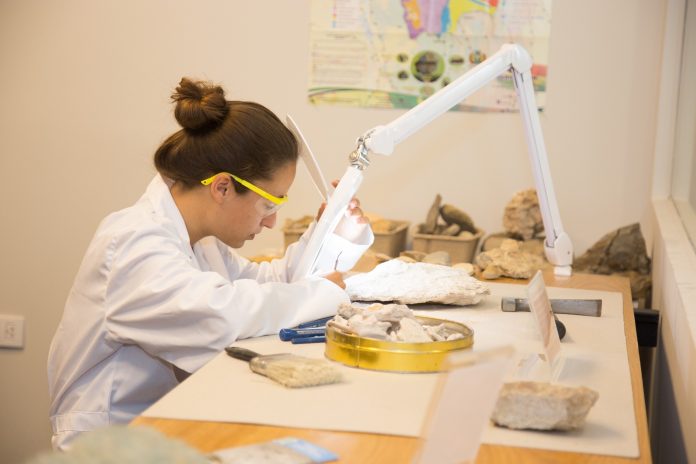 Torres Vedras acolhe simpósio sobre a aplicação do 3D na paleontologia