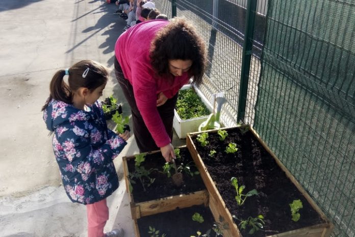 Projeto de hortas pedagógicas implementado em 13 escolas do Concelho