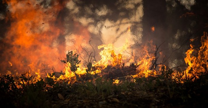Torres Vedras: Balanço dos incêndios rurais até 15 de agosto