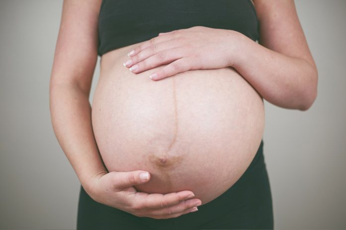 CDS-PP defende “outros caminhos” para mulheres que não possam engravidar