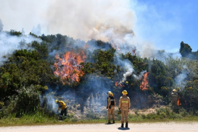 TORRES VEDRAS: Ações de fogo controlado no concelho prosseguem com vista à prevenção de incêndios